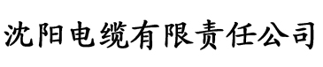 亚洲综合性av私人影院电缆厂logo